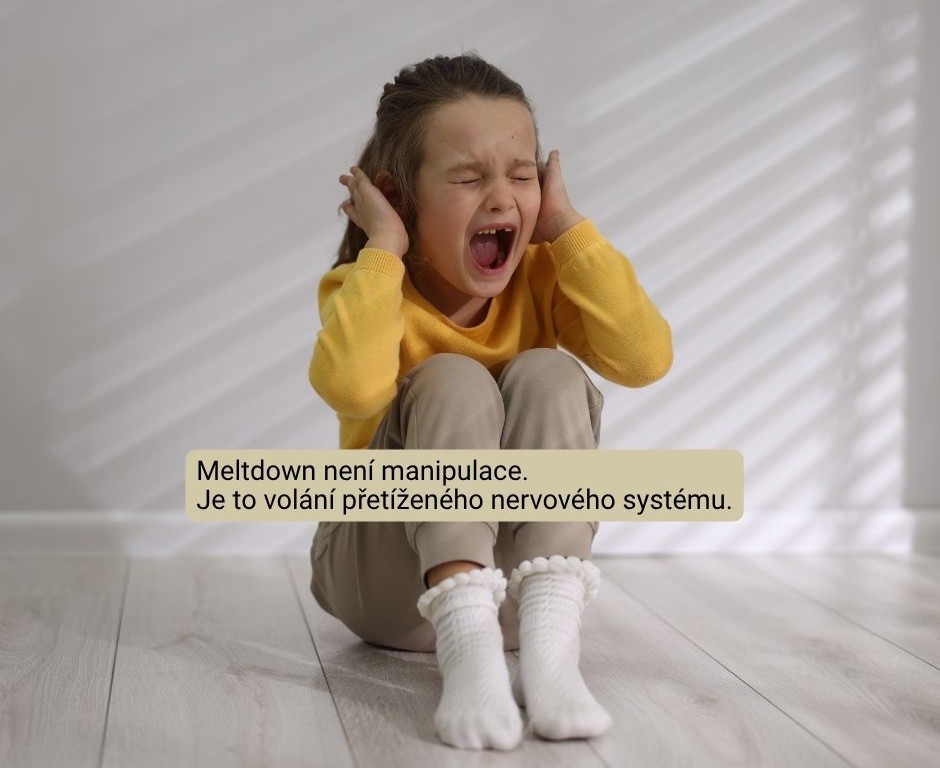Jak reagovat na meltdown u dítěte s autismem, článek_1